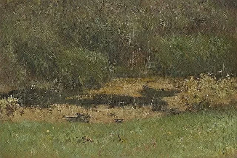 Studio sulla natura, sulla vegetazione e sui fiori